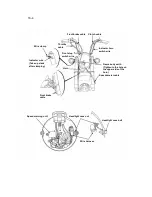 Предварительный просмотр 221 страницы Honda Gorilla Z50Jz-3 Service Manual