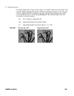 Предварительный просмотр 175 страницы Honeywell 8680i Series User Manual