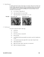 Предварительный просмотр 229 страницы Honeywell Granit XP 199 i Series User Manual