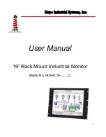 Hope Industrial Systems HIS-RL19C User Manual preview