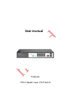 Hored PS2010G User Manual preview