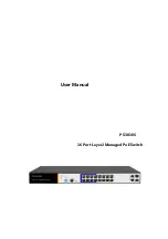 Hored PS3016S User Manual preview