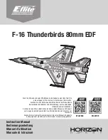 Horizon Hobby E-flite EFL87950 Instruction Manual preview