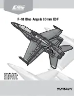 Horizon Hobby E-flite F-18 Blue Angels 80mm EDF Instruction Manual preview