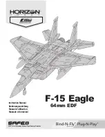 Horizon Hobby F-15 Eagle Instruction Manual preview