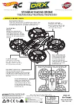 Hot Wheels Bladez DRX Stingray Racing Drone BTHW-Q01 Instructions Manual preview