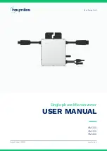 Preview for 1 page of Hoymiles HM-300 User Manual