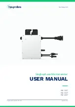 Hoymiles HM-300T User Manual предпросмотр