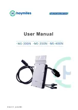 Preview for 1 page of Hoymiles MI-300N User Manual