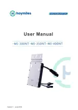 Предварительный просмотр 1 страницы Hoymiles MI-300NT User Manual