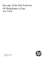 HP 16Gb SAN User Manual preview