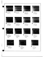 Предварительный просмотр 36 страницы HP 5304A Operating And Service Manual