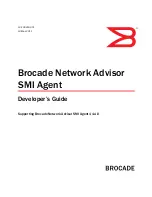 HP Brocade 8/24c Developer'S Manual предпросмотр