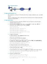 Предварительный просмотр 249 страницы HP FlexFabric 5700 series Security Configuration Manual