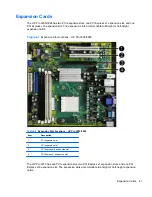 Предварительный просмотр 49 страницы HP Pro 3005 - Microtower PC Maintenance And Service Manual