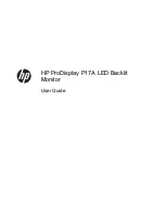 HP ProDisplay P17A User Manual предпросмотр