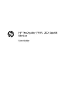 Preview for 1 page of HP ProDisplay P19A User Manual