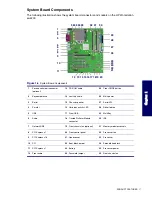 Preview for 17 page of HP Xw4200 - Workstation - 1 GB RAM Service And Technical Reference Manual