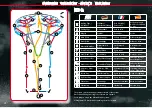 Preview for 28 page of HQ-Powerkites Montana 5 Manual