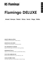 HS Flamingo 5841030 General Technical Description And Instructions For Use preview