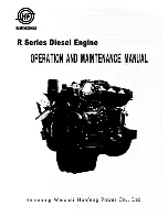 Preview for 1 page of Huafengdongli R4100D1 Operation And Maintenance Manual