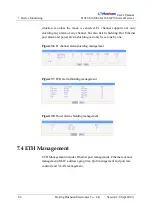 Предварительный просмотр 90 страницы Huahuan Electronics H0FL-EthMux.SA16 User Manual