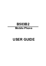 Preview for 1 page of Huawei B503B2 User Manual