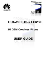 Preview for 1 page of Huawei ETS-2 User Manual