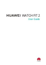 Huawei FIT 2 User Manual preview