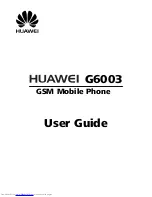 Huawei G6003 User Manual предпросмотр