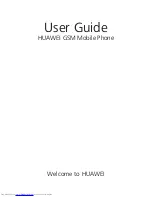 Huawei G6007 User Manual preview