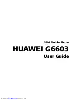 Huawei G6603 User Manual preview