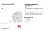 Preview for 1 page of Huawei OptiX RTN 320F Quick Installation Manual