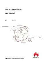 Preview for 1 page of Huawei R100020G1 User Manual