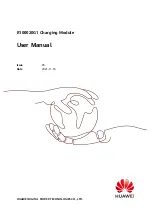 Huawei R100020G1 User Manual предпросмотр