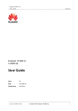 Huawei V100R002 User Manual preview