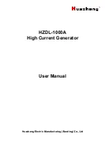 Huazheng HZDL-1000A User Manual preview
