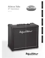 Hughes & Kettner 25 Manual предпросмотр