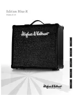 Hughes & Kettner 96 Owner'S Manual предпросмотр