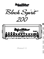 Hughes & Kettner Black Spirit 200 Manual предпросмотр