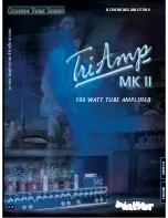 Hughes & Kettner TRIAMP MK II User Manual preview