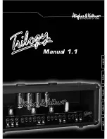 Hughes & Kettner Trilogy Owner'S Manual предпросмотр