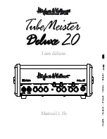 Preview for 1 page of Hughes & Kettner TubeMeister Deluxe 20 Manual