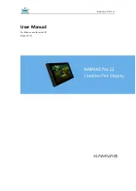 Huion KAMVAS Pro 12 GT-116 User Manual preview