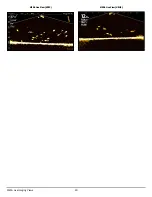 Preview for 30 page of Humminbird MEGA Live Imaging Operation Manual