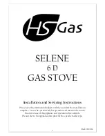 Предварительный просмотр 1 страницы Hunter Stoves HS Gas SELENE 6 D Installation And Servicing Instructions