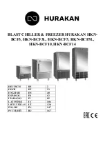 HURAKAN HKN-BCF10 Manual preview