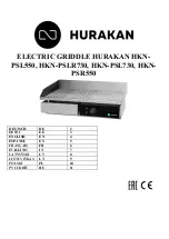 HURAKAN HKN-PSL550 Manual preview