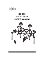 HXM XD-450C User Manual preview