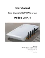 Hybertone GoIP_4 User Manual preview